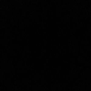 Meet your Posher, Nina